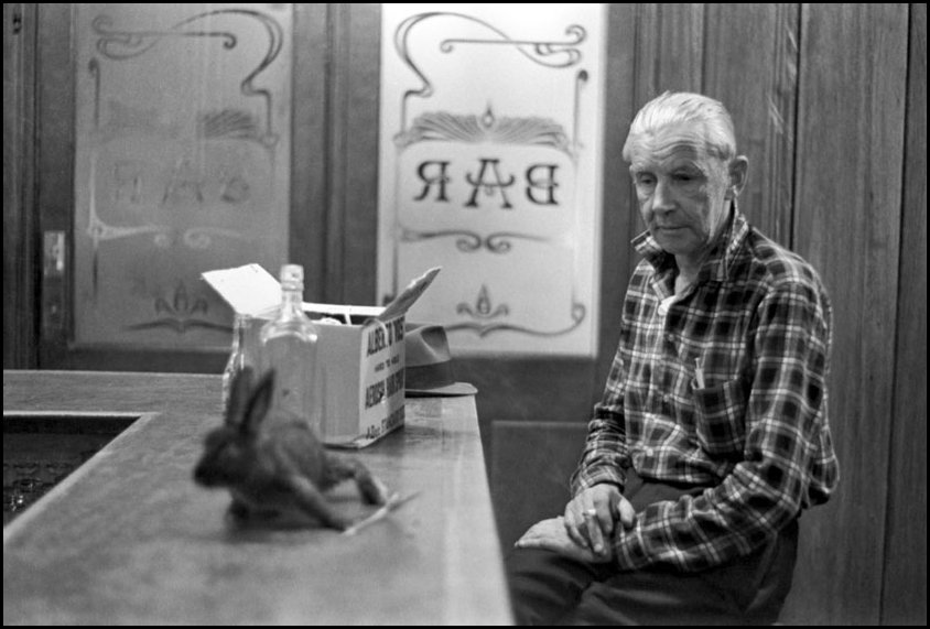Man and pet rabbit - Newcastle Hotel Sydney 1966