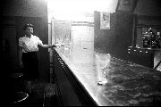 Barmaid, burnt pub Bondi Junction - c.1966